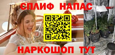 гидра Краснодар