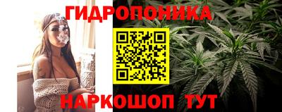гидра Краснодар