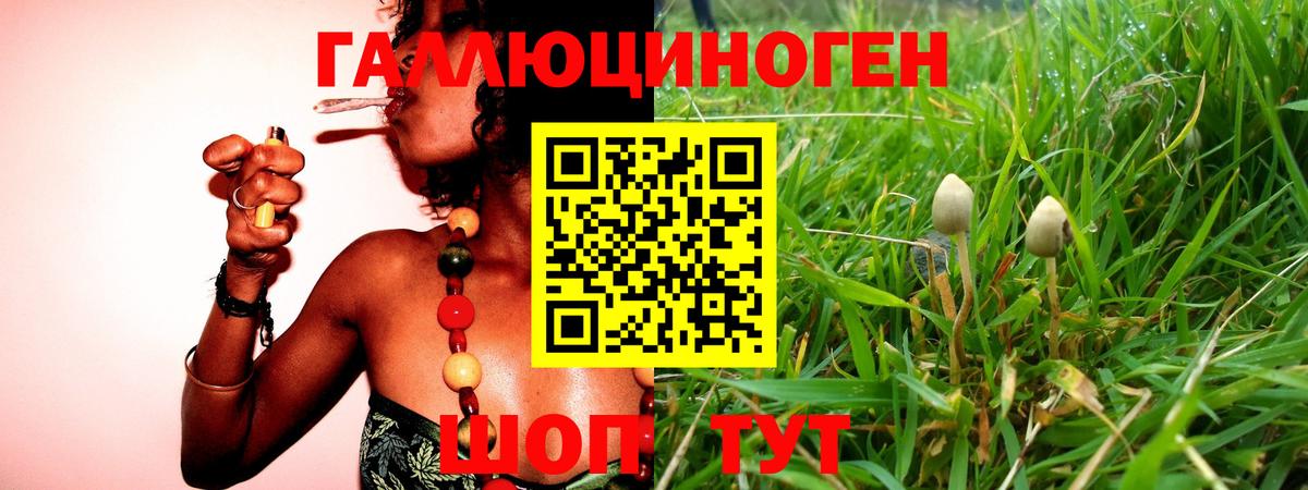 Псилоцибиновые грибы мухоморы Коркино