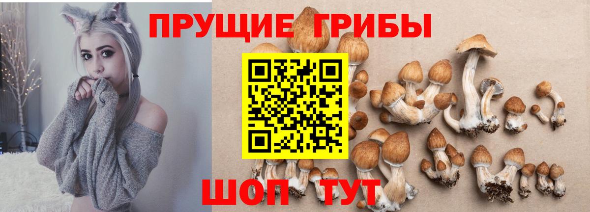 Коркино  Галлюциногенные грибы Magic Shrooms  Вход с VPN  наркотики  Псилоцибиновые грибы Magic Shrooms 