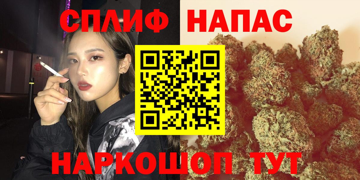Каннабис конопля Коркино